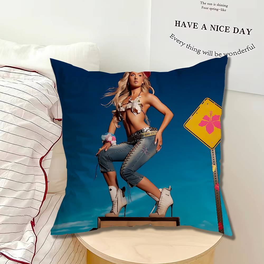 Z-Zara Larsson Midnight Sun 베개 - Zara Home Textiles 리뷰 및 가격